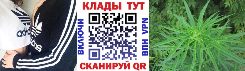 Купить закладку Канабис  Меф мяу мяу  Галлюциногенные грибы  Гашиш  КОКАИН  Амфетамин  Старица
