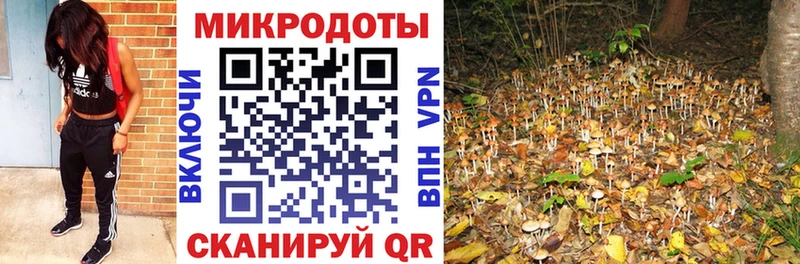Купить  Старица  Галлюциногенные грибы прущие грибы 