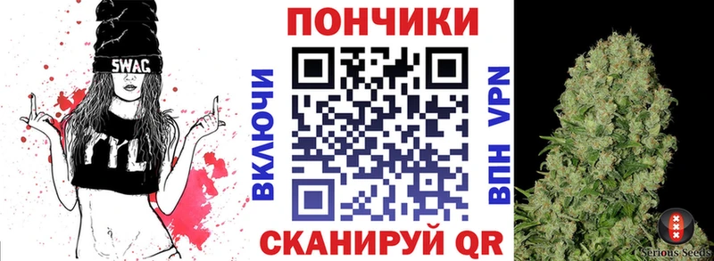 Купить  Старица  Шишки марихуана VHQ 